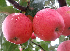 ���Ͻ��~����-�O(p��ng)����ȡ��